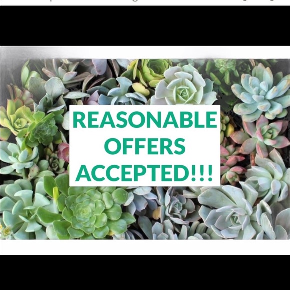 Let’s make a deal!! - Picture 3 of 3